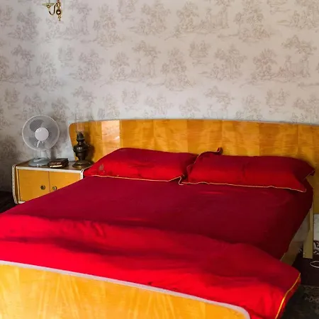 't Hemelke Vakantiehuisje 別荘